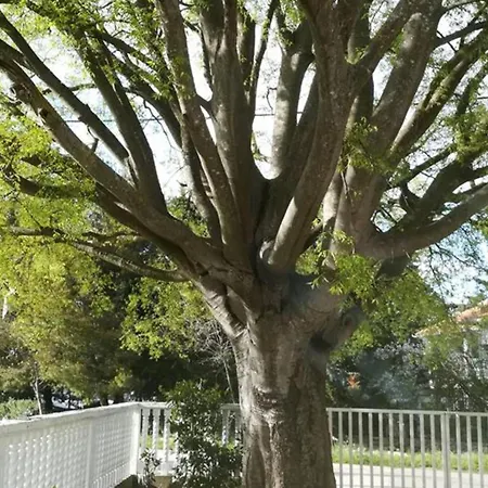 Trbi - One Bedroom - Nina غورني كارين