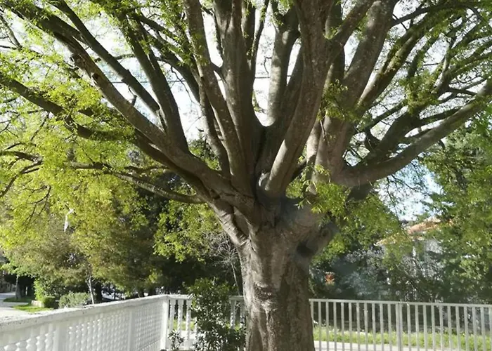 Trbi - One Bedroom - Nina غورني كارين