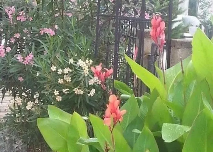 Trbi - One Bedroom - Nina غورني كارين